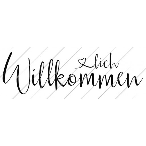 wer reist mit